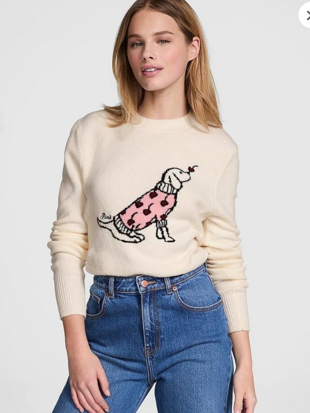 PINK Victoria's Secret Collegiate Knit Crewneck Sweater XL 🆕